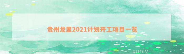 贵州龙里2021计划开工项目一览