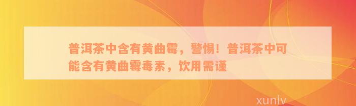 普洱茶中含有黄曲霉，警惕！普洱茶中可能含有黄曲霉毒素，饮用需谨