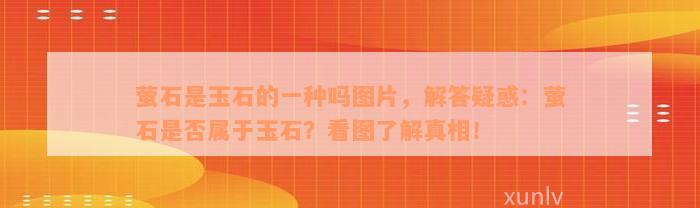 萤石是玉石的一种吗图片，解答疑惑：萤石是否属于玉石？看图了解真相！