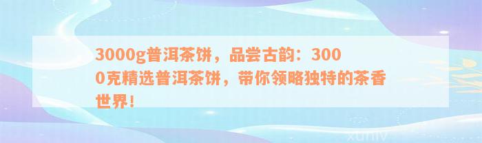 3000g普洱茶饼，品尝古韵：3000克精选普洱茶饼，带你领略独特的茶香世界！