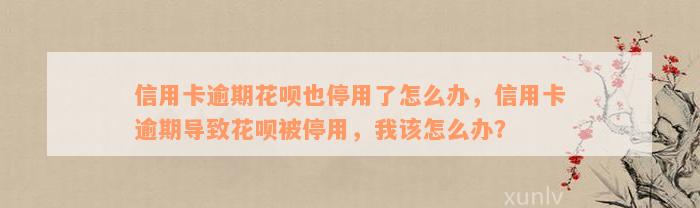 信用卡逾期花呗也停用了怎么办，信用卡逾期导致花呗被停用，我该怎么办？