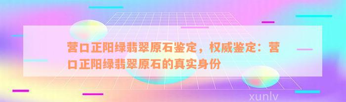 营口正阳绿翡翠原石鉴定，权威鉴定：营口正阳绿翡翠原石的真实身份