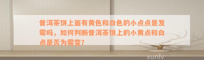 普洱茶饼上面有黄色和白色的小点点是发霉吗，如何判断普洱茶饼上的小黄点和白点是否为霉变？