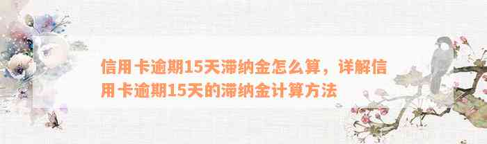 信用卡逾期15天滞纳金怎么算，详解信用卡逾期15天的滞纳金计算方法