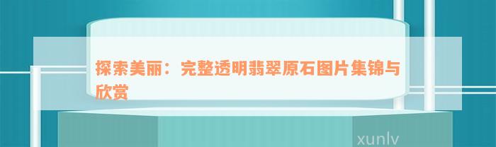 探索美丽：完整透明翡翠原石图片集锦与欣赏