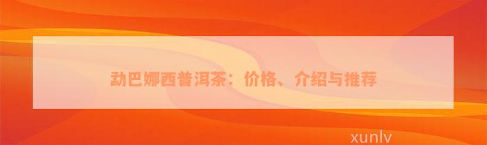 勐巴娜西普洱茶：价格、介绍与推荐