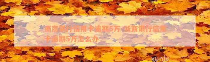 浙商银行信用卡逾期5万-浙商银行信用卡逾期5万怎么办