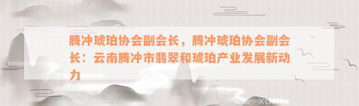 腾冲琥珀协会副会长，腾冲琥珀协会副会长：云南腾冲市翡翠和琥珀产业发展新动力