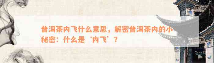 普洱茶内飞什么意思，解密普洱茶内的小秘密：什么是‘内飞’？