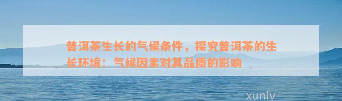 普洱茶生长的气候条件，探究普洱茶的生长环境：气候因素对其品质的影响