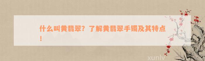 什么叫黄翡翠？了解黄翡翠手镯及其特点！