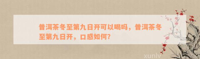 普洱茶冬至第九日开可以喝吗，普洱茶冬至第九日开，口感如何？