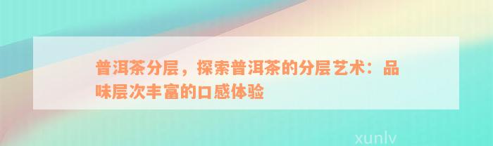 普洱茶分层，探索普洱茶的分层艺术：品味层次丰富的口感体验