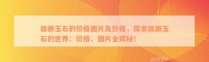 貔貅玉石的价格图片及价格，探索貔貅玉石的世界：价格、图片全揭秘！