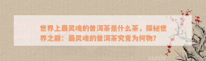 世界上最灵魂的普洱茶是什么茶，探秘世界之巅：最灵魂的普洱茶究竟为何物？