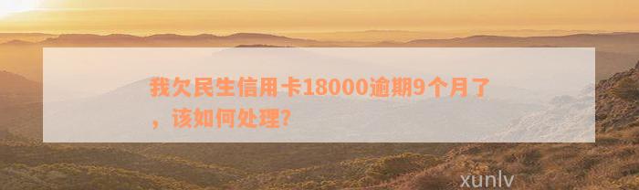 我欠民生信用卡18000逾期9个月了，该如何处理？