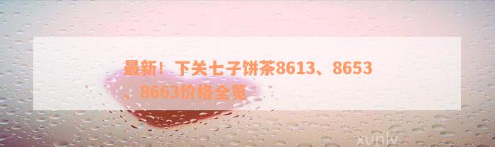 最新！下关七子饼茶8613、8653、8663价格全览