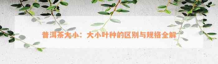 普洱茶大小：大小叶种的区别与规格全解