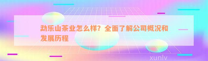 勐乐山茶业怎么样？全面了解公司概况和发展历程