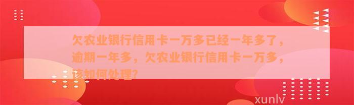 欠农业银行信用卡一万多已经一年多了，逾期一年多，欠农业银行信用卡一万多，该如何处理？