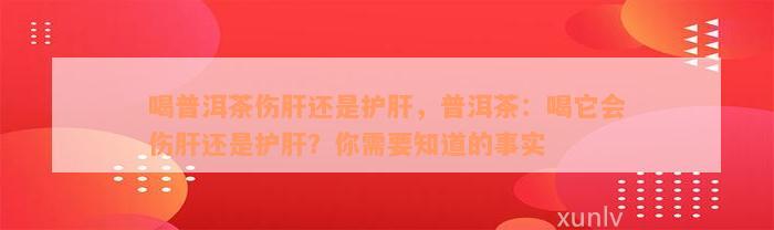 喝普洱茶伤肝还是护肝，普洱茶：喝它会伤肝还是护肝？你需要知道的事实