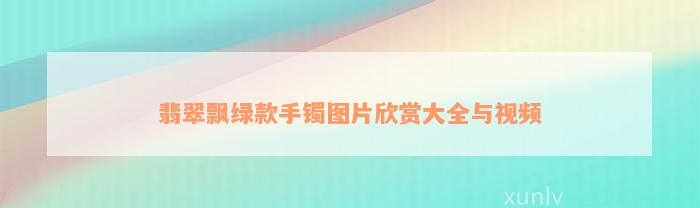 翡翠飘绿款手镯图片欣赏大全与视频