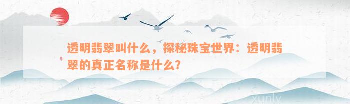 透明翡翠叫什么，探秘珠宝世界：透明翡翠的真正名称是什么？