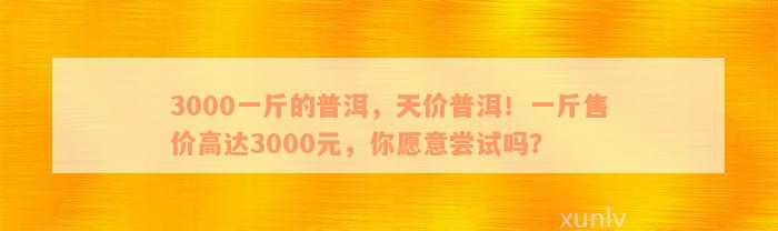 3000一斤的普洱，天价普洱！一斤售价高达3000元，你愿意尝试吗？