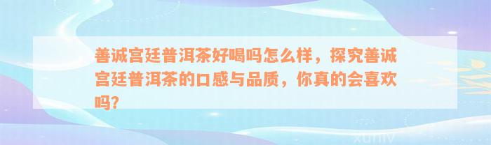 善诚宫廷普洱茶好喝吗怎么样，探究善诚宫廷普洱茶的口感与品质，你真的会喜欢吗？