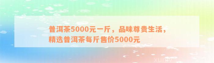 普洱茶5000元一斤，品味尊贵生活，精选普洱茶每斤售价5000元