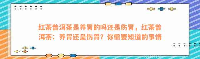 红茶普洱茶是养胃的吗还是伤胃，红茶普洱茶：养胃还是伤胃？你需要知道的事情