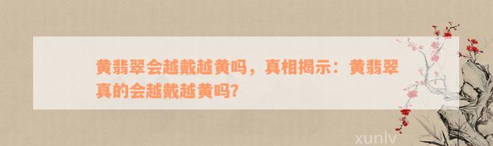 黄翡翠会越戴越黄吗，真相揭示：黄翡翠真的会越戴越黄吗？