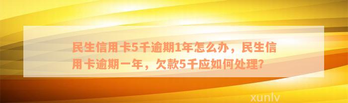 民生信用卡5千逾期1年怎么办，民生信用卡逾期一年，欠款5千应如何处理？