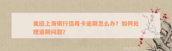 美团上海银行信用卡逾期怎么办？如何处理逾期问题？