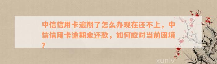 中信信用卡逾期了怎么办现在还不上，中信信用卡逾期未还款，如何应对当前困境？