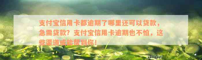 支付宝信用卡都逾期了哪里还可以贷款，急需贷款？支付宝信用卡逾期也不怕，这些渠道或能帮到你！