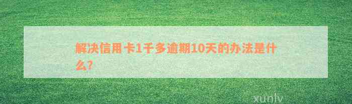 解决信用卡1千多逾期10天的办法是什么？