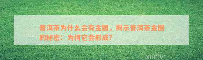 普洱茶为什么会有金圈，揭示普洱茶金圈的秘密：为何它会形成？