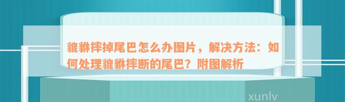 貔貅摔掉尾巴怎么办图片，解决方法：如何处理貔貅摔断的尾巴？附图解析