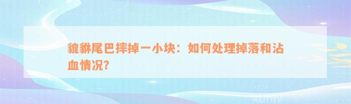 貔貅尾巴摔掉一小块：如何处理掉落和沾血情况？