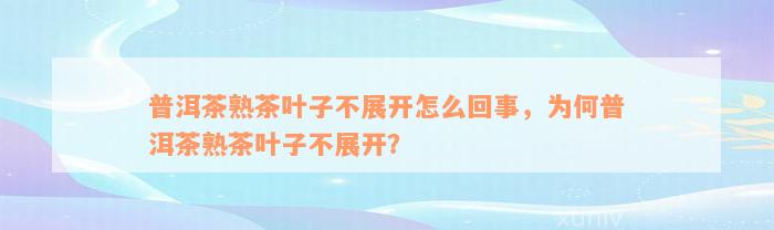 普洱茶熟茶叶子不展开怎么回事，为何普洱茶熟茶叶子不展开？