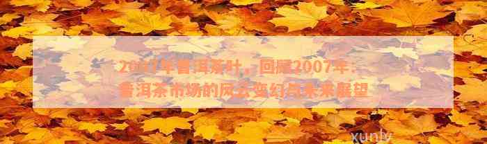 2007年普洱茶叶，回顾2007年：普洱茶市场的风云变幻与未来展望