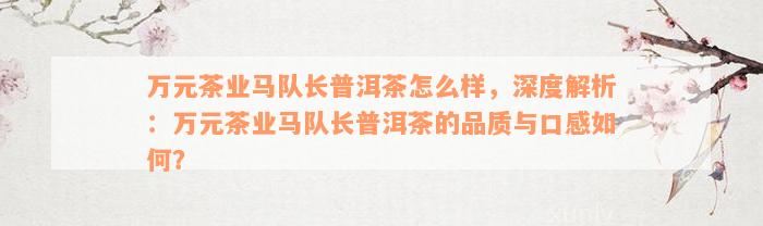 万元茶业马队长普洱茶怎么样，深度解析：万元茶业马队长普洱茶的品质与口感如何？