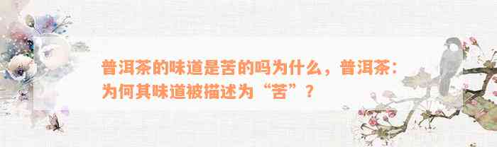 普洱茶的味道是苦的吗为什么，普洱茶：为何其味道被描述为“苦”？