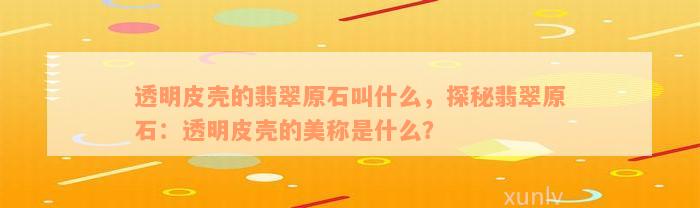 透明皮壳的翡翠原石叫什么，探秘翡翠原石：透明皮壳的美称是什么？