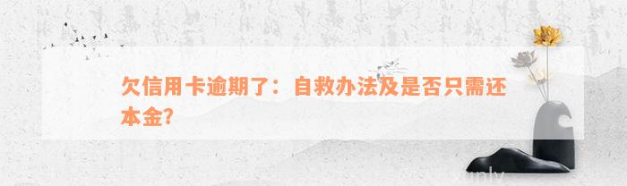 欠信用卡逾期了：自救办法及是否只需还本金？