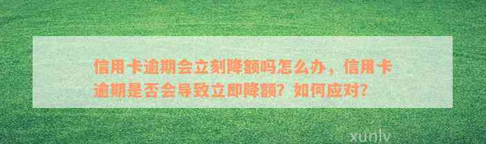 信用卡逾期会立刻降额吗怎么办，信用卡逾期是否会导致立即降额？如何应对？