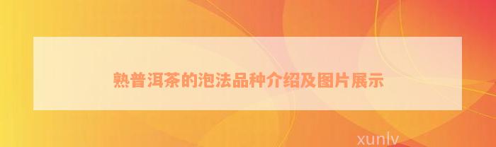 熟普洱茶的泡法品种介绍及图片展示