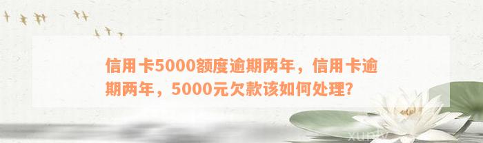 信用卡5000额度逾期两年，信用卡逾期两年，5000元欠款该如何处理？