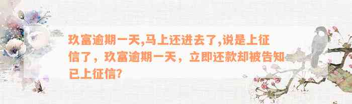 玖富逾期一天,马上还进去了,说是上征信了，玖富逾期一天，立即还款却被告知已上征信？